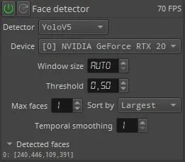 face detector
